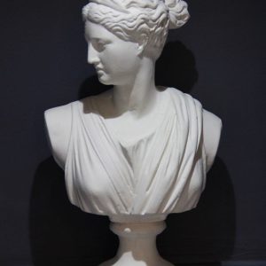 Diana Büst
