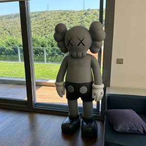 Design Kaws